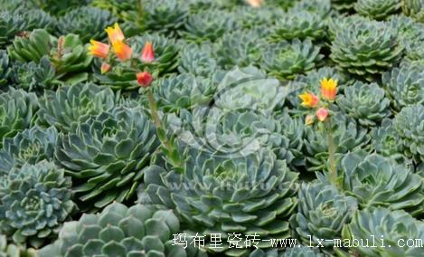 文章附圖