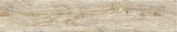 MM81511.jpg