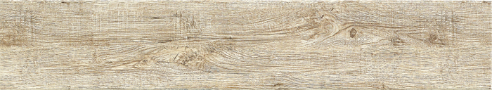 MM81511.jpg