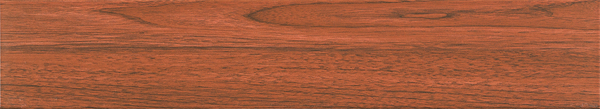 MM81521.jpg