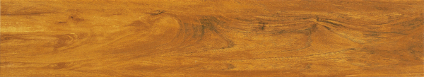 MM81525.jpg