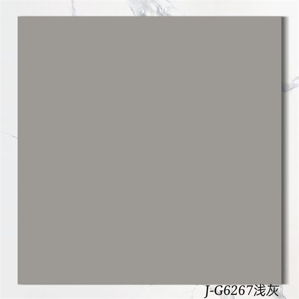 600600純色仿古磚_淺灰6267.jpg