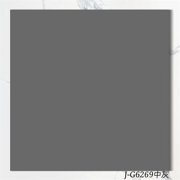 600600純色仿古磚_中灰6269.jpg