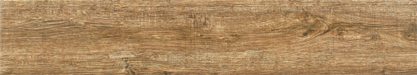 MM81535.jpg