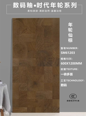 數碼釉木紋磚－SM61203