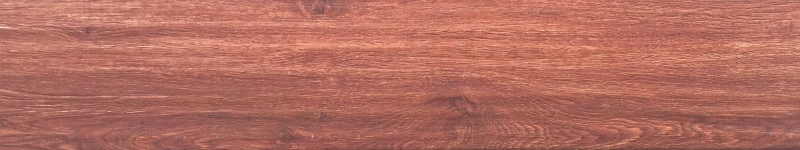 MM815600.jpg