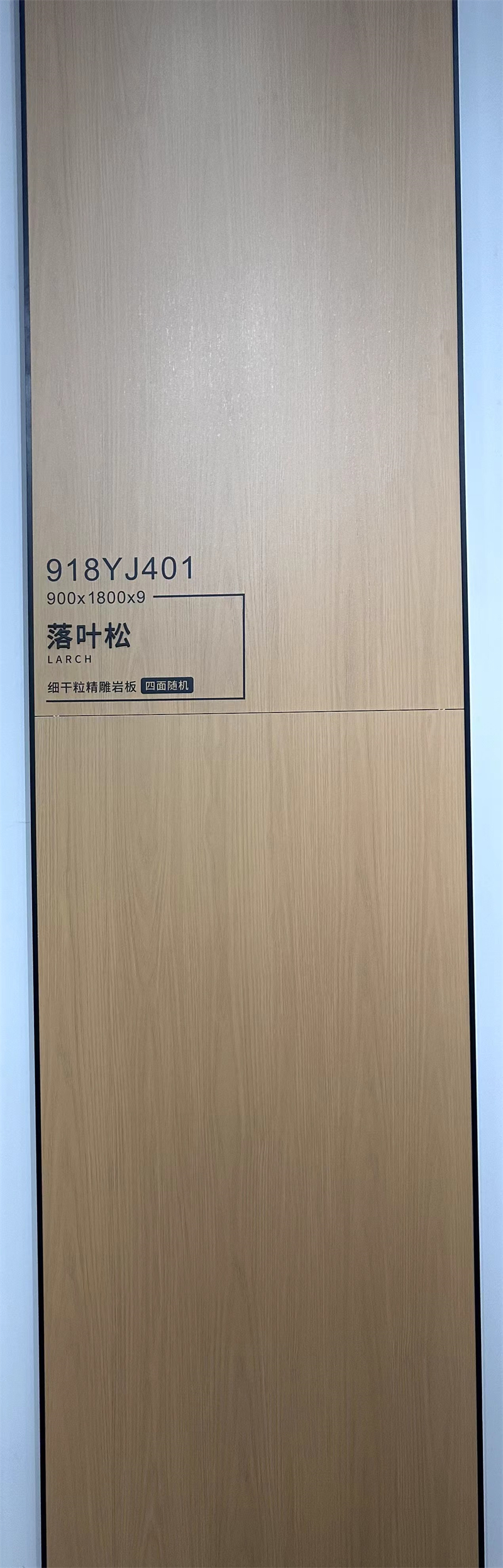 918Y401_1.jpg