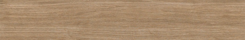 M251556.jpg