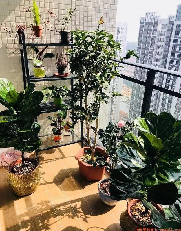 木紋磚陽臺2.jpg