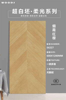 55°超白坯木紋磚-S6227