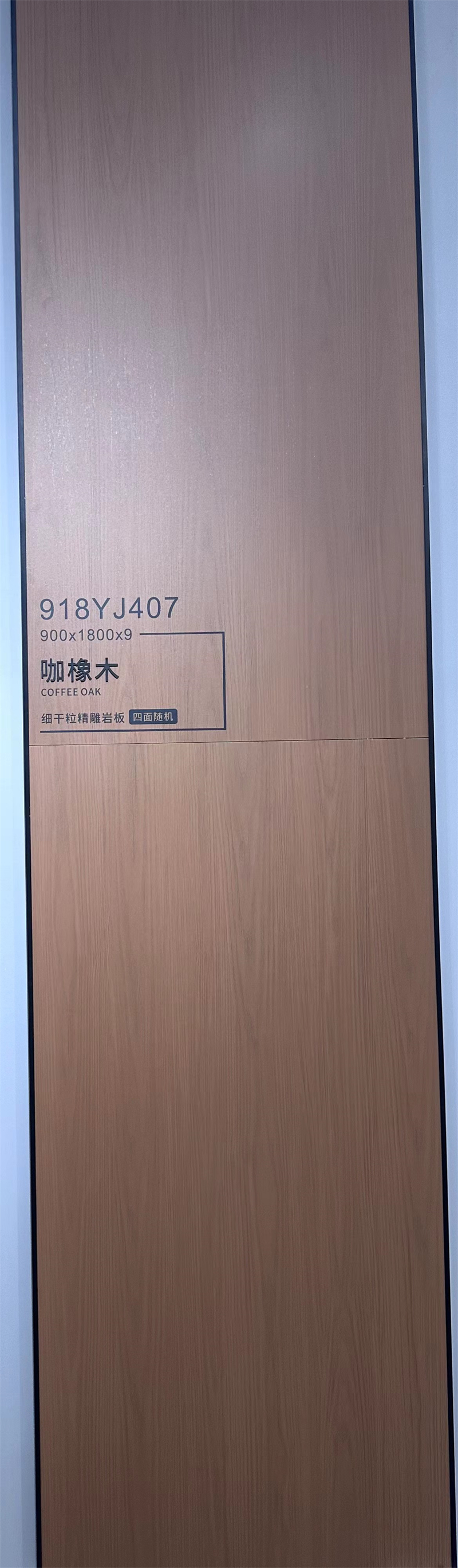 918Y407_1.jpg