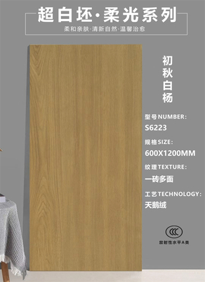 55°超白坯木紋磚-S6223