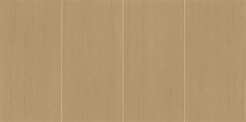 S6221_.jpg