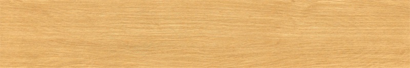 M251555.jpg