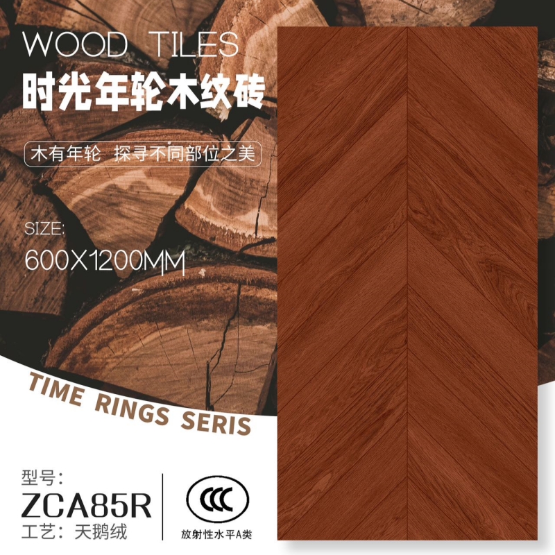 ZCA85R_副本.jpg