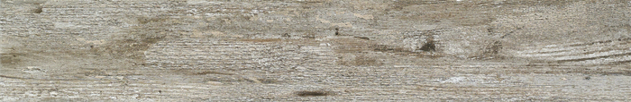 MM91531.jpg