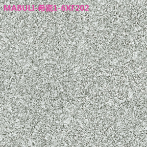 希瓷仿古磚1-6XF202