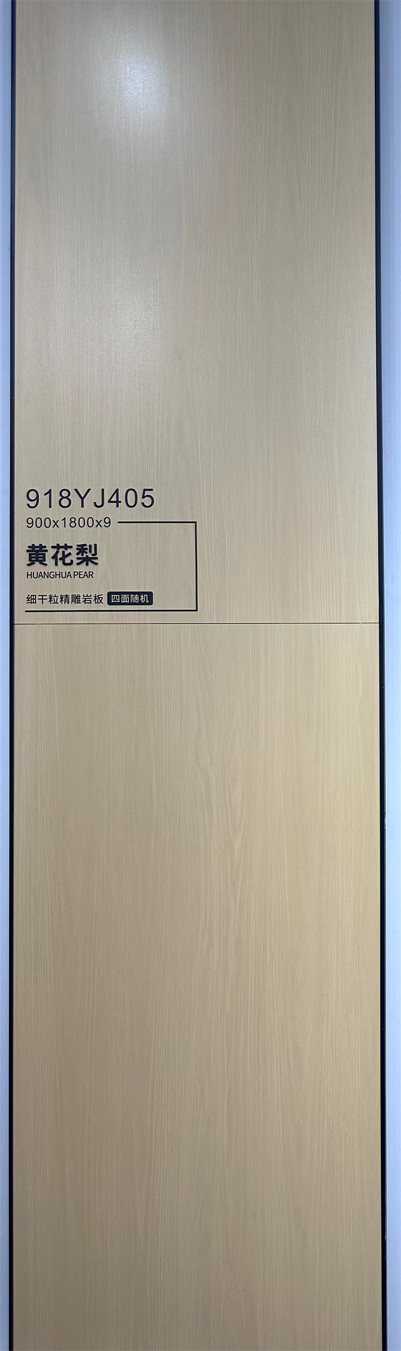 918Y405_2.jpg