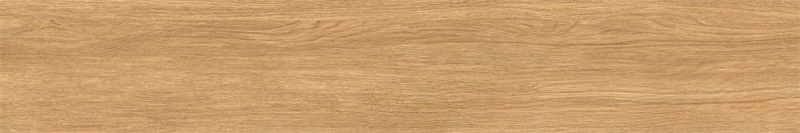 M251550.jpg