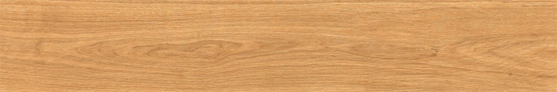 M251551.jpg