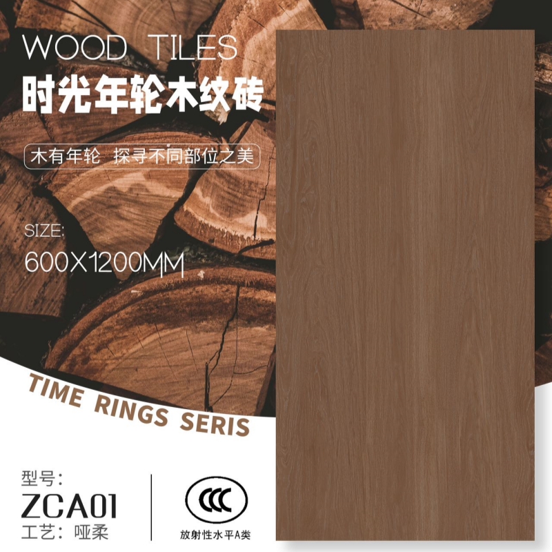 ZCA01_副本.jpg