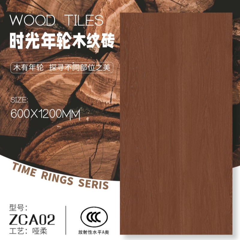 ZCA02_副本.jpg