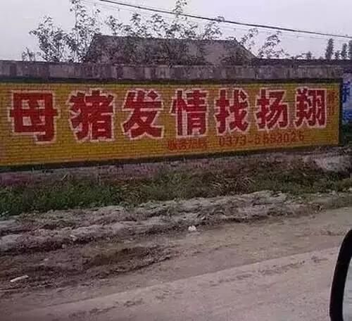 紋墻廣告2.jpg