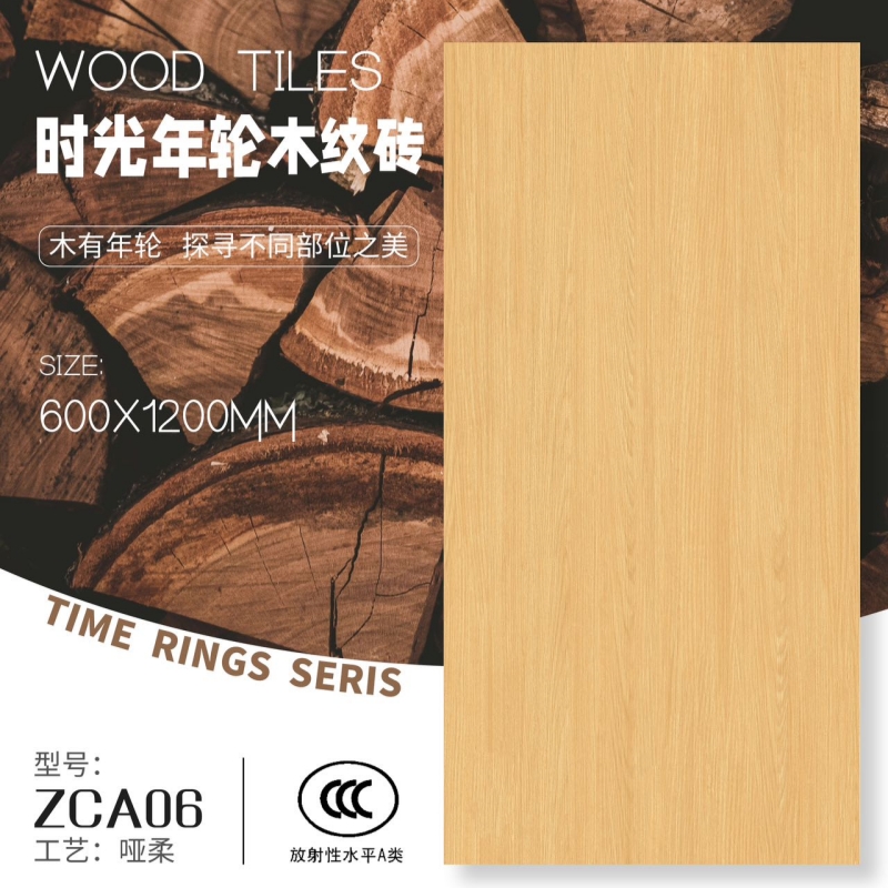 ZCA06_副本.jpg
