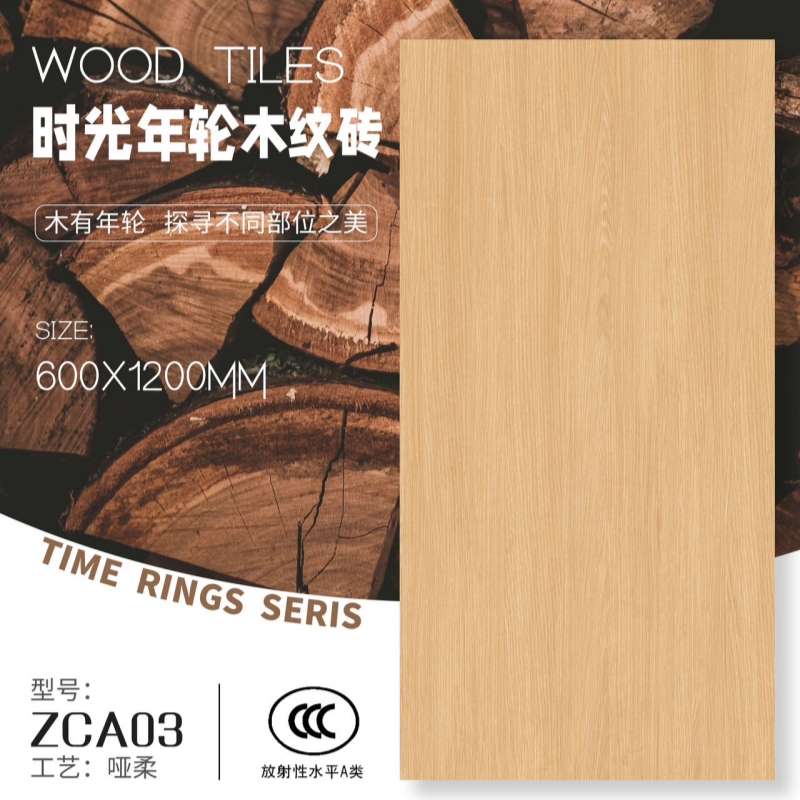 ZCA03_副本.jpg