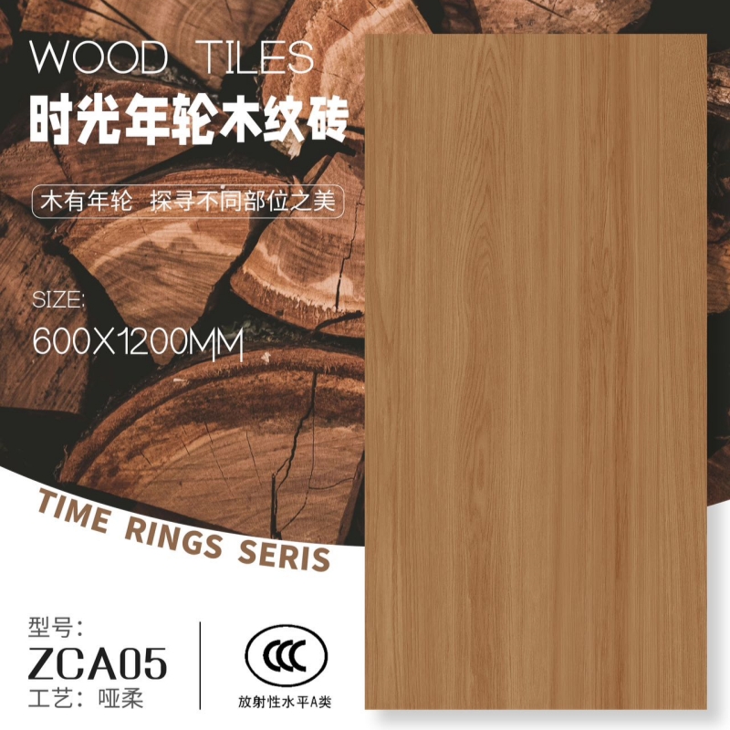 ZCA05_副本.jpg