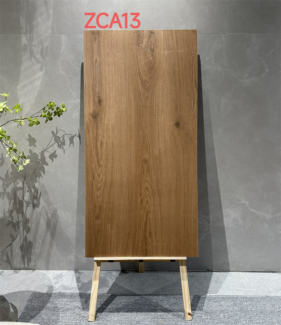 ZCA13.jpg