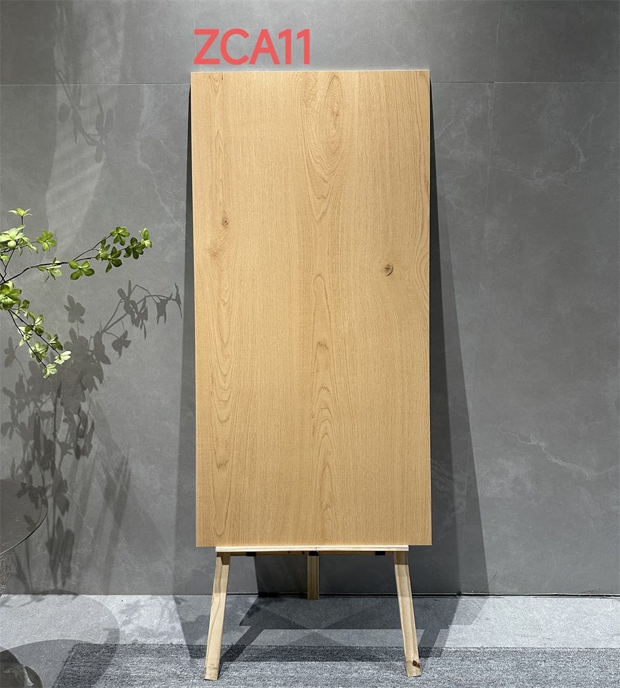 ZCA11.jpg