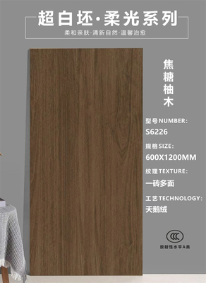 55°超白坯木紋磚-S6226