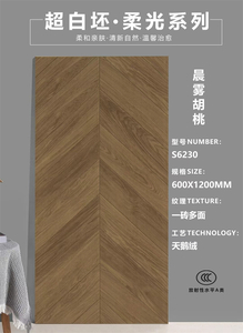 55°超白坯木紋磚-S6230