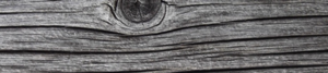 4501003.png