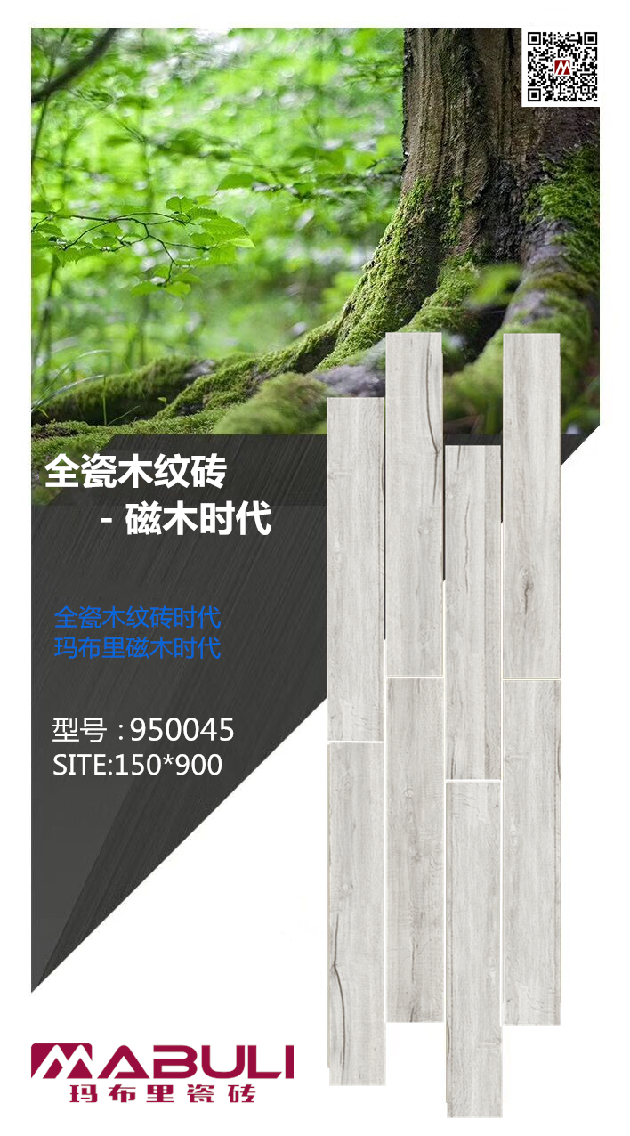 玛布里磁木时代950045VI.jpg
