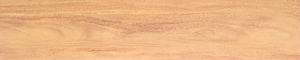 21007muwenzhuan