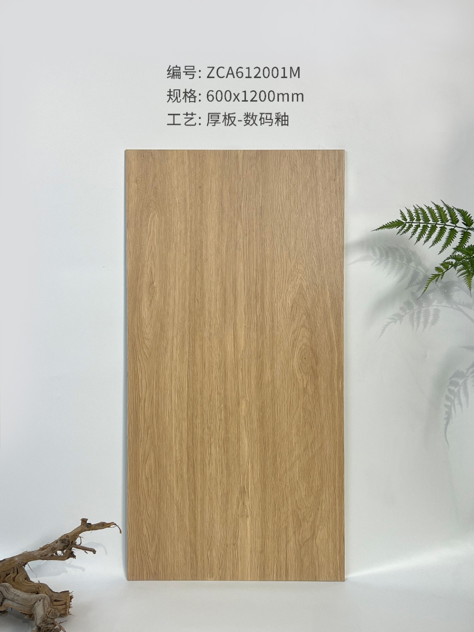 ZCA612001M_1.jpg