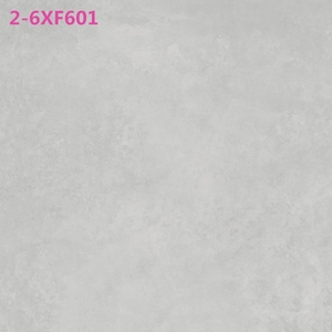 希瓷仿古砖2-6XF601