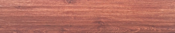 MM815600.jpg